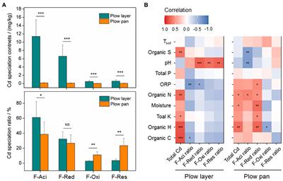 Cadmium Speciation Distribution Responses to Soil Properties and Soil Microbes of Plow Layer and Plow Pan Soils in Cadmium-Contaminated Paddy Fields